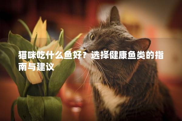 猫咪吃什么鱼好？选择健康鱼类的指南与建议