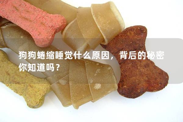 狗狗蜷缩睡觉什么原因，背后的秘密你知道吗？