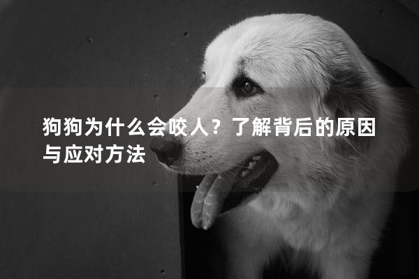 狗狗为什么会咬人？了解背后的原因与应对方法