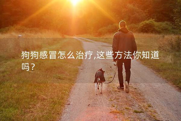 狗狗感冒怎么治疗,这些方法你知道吗？