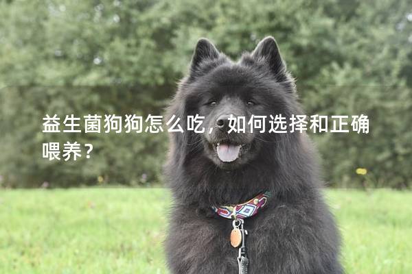 益生菌狗狗怎么吃，如何选择和正确喂养？