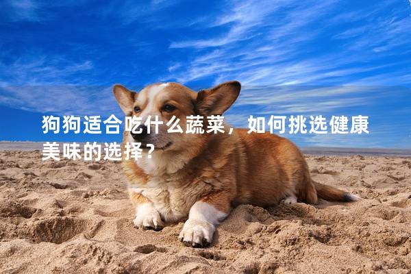 狗狗适合吃什么蔬菜，如何挑选健康美味的选择？