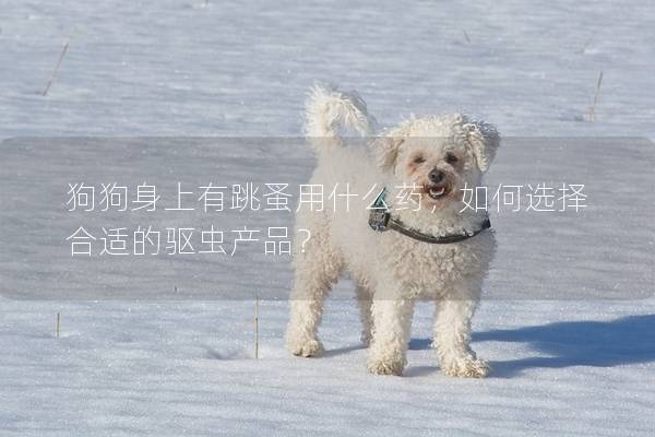 狗狗身上有跳蚤用什么药，如何选择合适的驱虫产品？