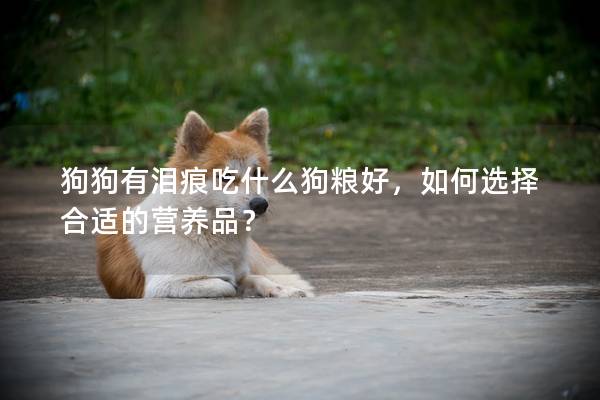 狗狗有泪痕吃什么狗粮好，如何选择合适的营养品？