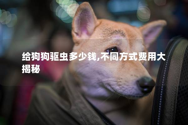 给狗狗驱虫多少钱,不同方式费用大揭秘