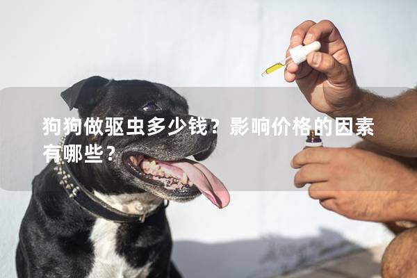 狗狗做驱虫多少钱？影响价格的因素有哪些？
