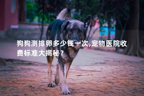 狗狗测排卵多少钱一次,宠物医院收费标准大揭秘？