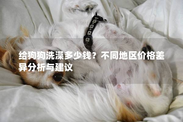 给狗狗洗澡多少钱？不同地区价格差异分析与建议