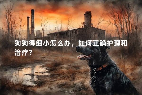 狗狗得细小怎么办，如何正确护理和治疗？
