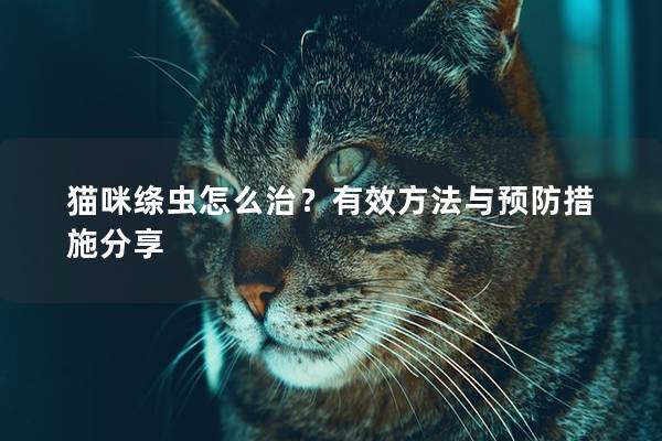 猫咪绦虫怎么治？有效方法与预防措施分享