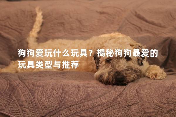 狗狗爱玩什么玩具？揭秘狗狗最爱的玩具类型与推荐