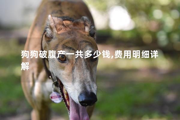 狗狗破腹产一共多少钱,费用明细详解