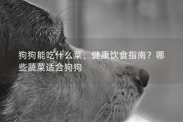 狗狗能吃什么菜，健康饮食指南？哪些蔬菜适合狗狗