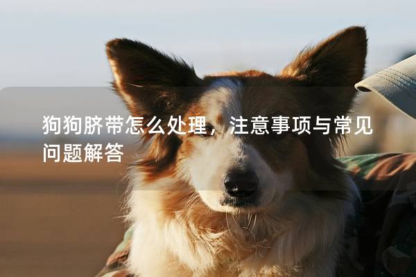狗狗脐带怎么处理，注意事项与常见问题解答