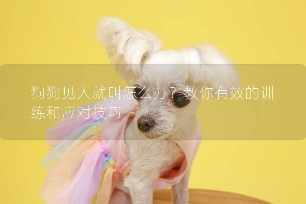 狗狗见人就叫怎么办？教你有效的训练和应对技巧