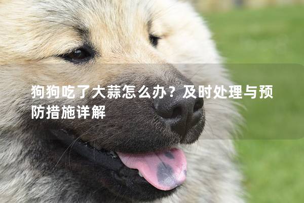 狗狗吃了大蒜怎么办？及时处理与预防措施详解
