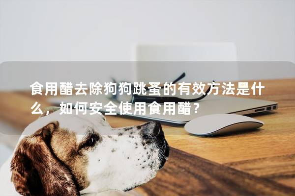 食用醋去除狗狗跳蚤的有效方法是什么，如何安全使用食用醋？