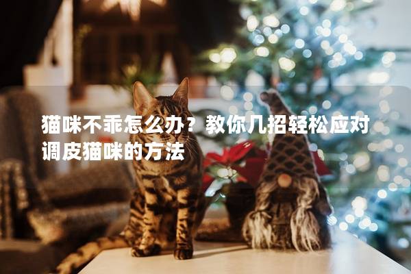 猫咪不乖怎么办？教你几招轻松应对调皮猫咪的方法