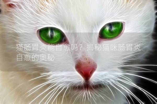 猫肠胃炎能自愈吗？揭秘猫咪肠胃炎自愈的奥秘