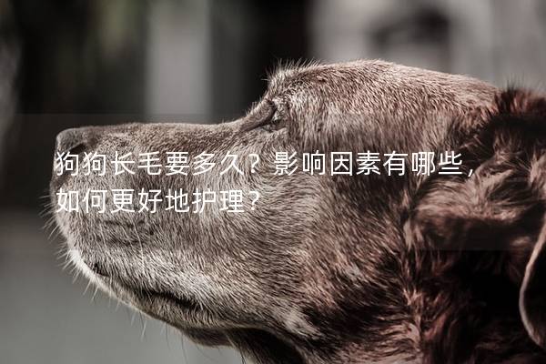狗狗长毛要多久？影响因素有哪些，如何更好地护理？