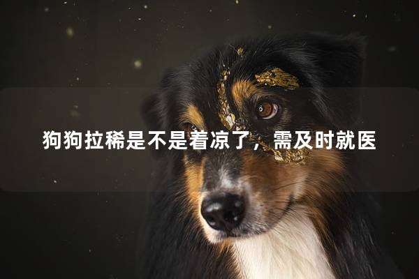 狗狗拉稀是不是着凉了，需及时就医