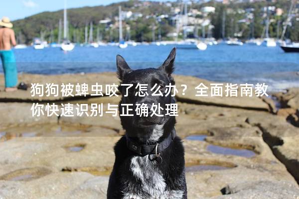 狗狗被蜱虫咬了怎么办？全面指南教你快速识别与正确处理