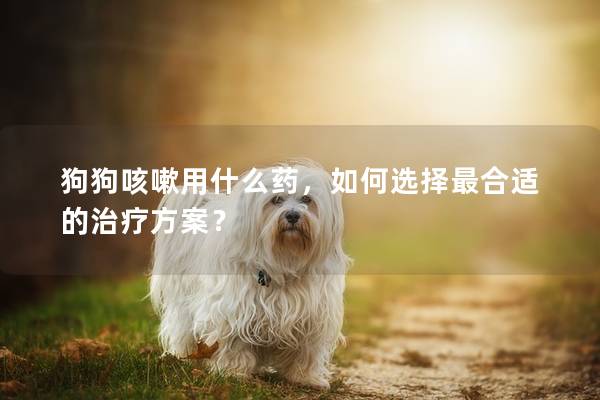 狗狗咳嗽用什么药，如何选择最合适的治疗方案？