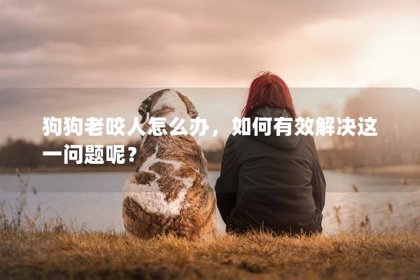 狗狗老咬人怎么办，如何有效解决这一问题呢？