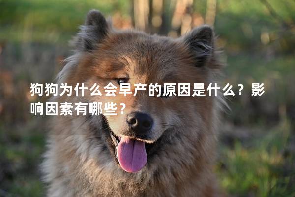 狗狗为什么会早产的原因是什么？影响因素有哪些？