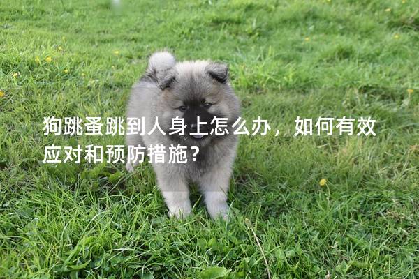 狗跳蚤跳到人身上怎么办，如何有效应对和预防措施？