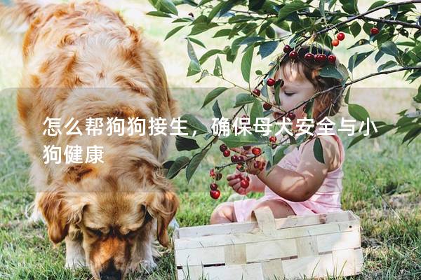 怎么帮狗狗接生，确保母犬安全与小狗健康
