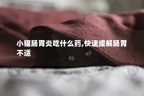 小猫肠胃炎吃什么药,快速缓解肠胃不适