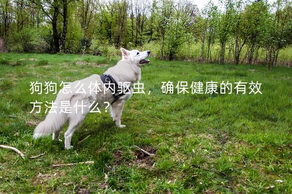 狗狗怎么体内驱虫，确保健康的有效方法是什么？