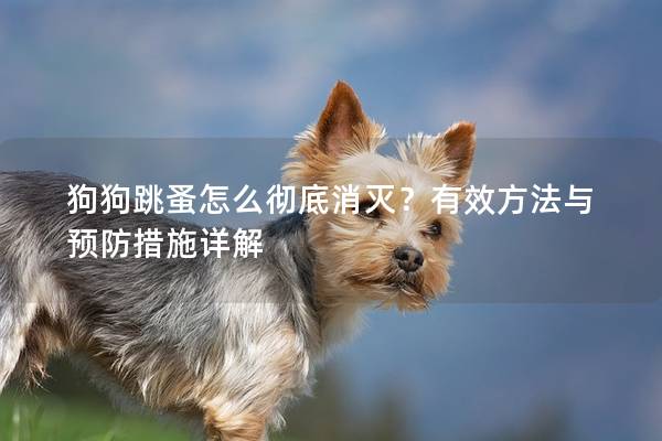 狗狗跳蚤怎么彻底消灭？有效方法与预防措施详解