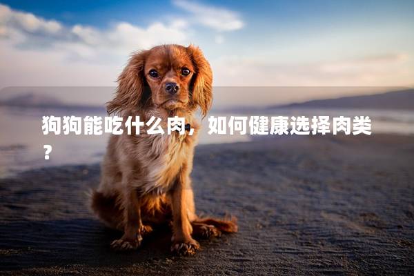 狗狗能吃什么肉，如何健康选择肉类？