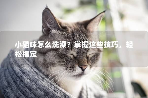 小猫咪怎么洗澡？掌握这些技巧，轻松搞定