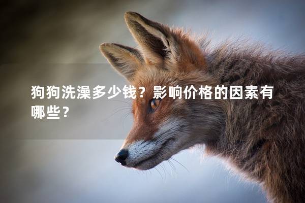 狗狗洗澡多少钱？影响价格的因素有哪些？