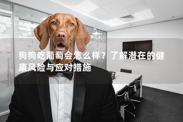 狗狗吃葡萄会怎么样？了解潜在的健康风险与应对措施