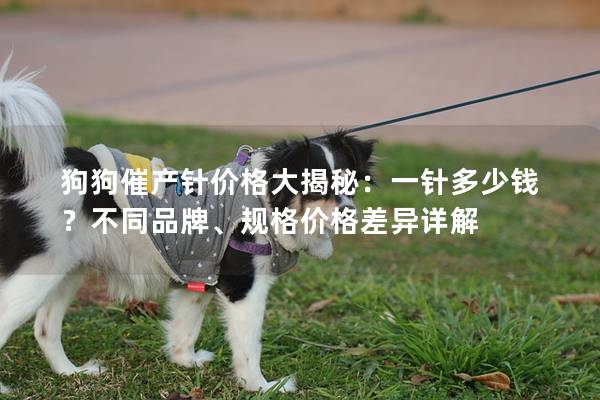狗狗催产针价格大揭秘：一针多少钱？不同品牌、规格价格差异详解