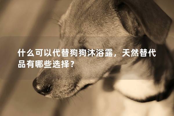 什么可以代替狗狗沐浴露，天然替代品有哪些选择？