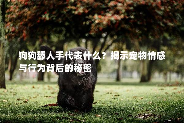 狗狗舔人手代表什么？揭示宠物情感与行为背后的秘密