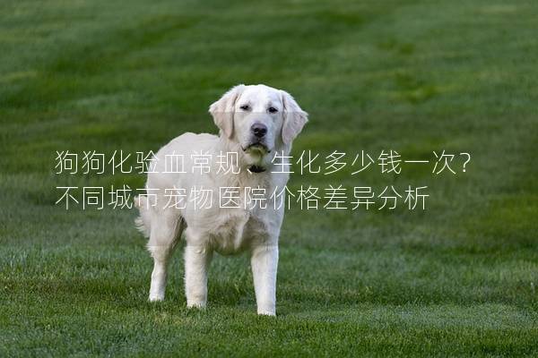 狗狗化验血常规、生化多少钱一次？不同城市宠物医院价格差异分析