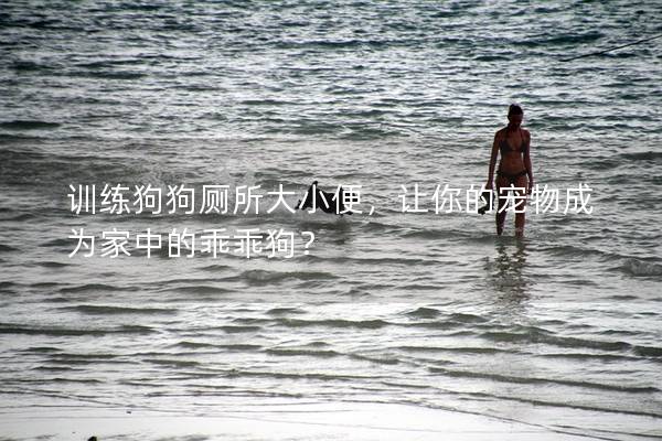 训练狗狗厕所大小便，让你的宠物成为家中的乖乖狗？