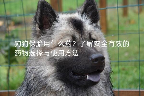 狗狗保胎用什么药？了解安全有效的药物选择与使用方法