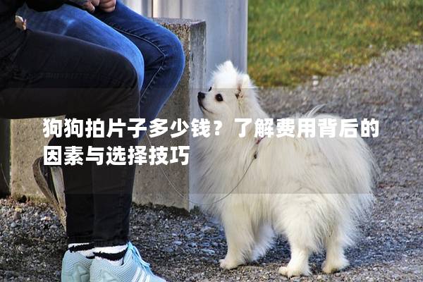 狗狗拍片子多少钱？了解费用背后的因素与选择技巧