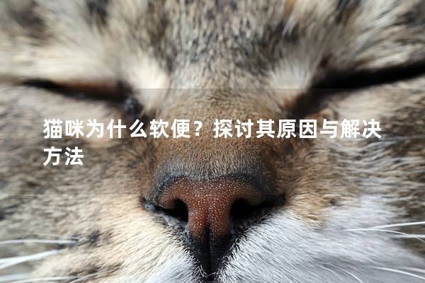 猫咪为什么软便？探讨其原因与解决方法