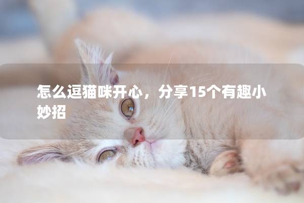 怎么逗猫咪开心，分享15个有趣小妙招