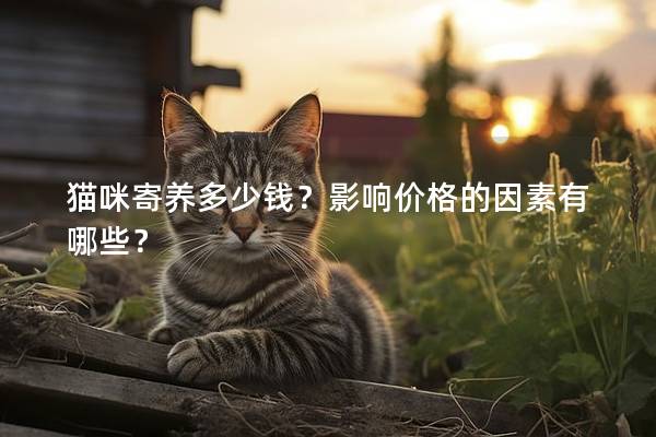 猫咪寄养多少钱？影响价格的因素有哪些？