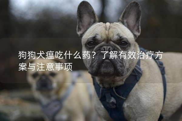 狗狗犬瘟吃什么药？了解有效治疗方案与注意事项