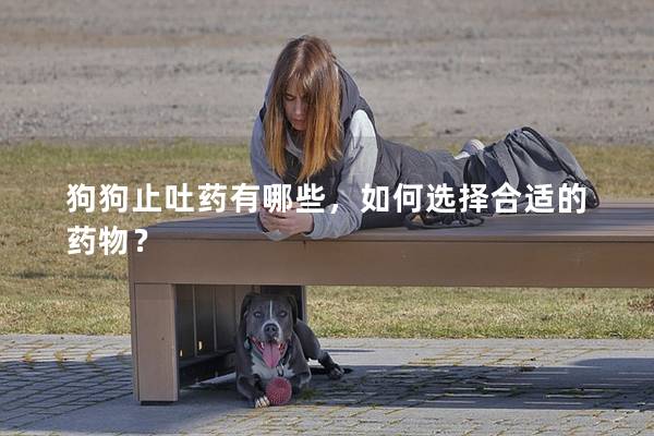 狗狗止吐药有哪些，如何选择合适的药物？